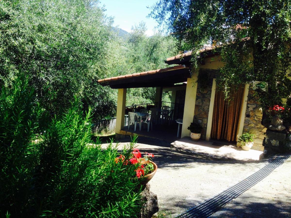 Casa Vacanze Uliveto Bordighera Eksteriør billede